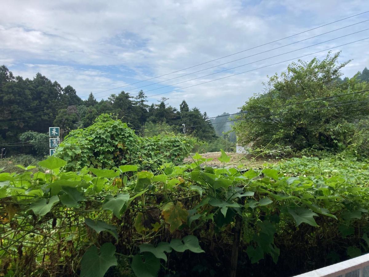 老老街 誠君民宿 Fenchihu Esterno foto